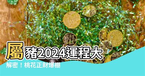 屬豬2024運程|2024屬豬幾歲、2024屬豬運勢、屬豬幸運色、財位、禁忌